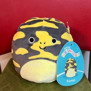 ⭐️NWT 5” Forest